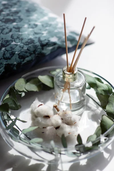 Aroma nád diffúzor, pamut virágok és eukaliptusz — Stock Fotó