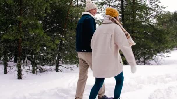 Happy smiling couple walking in winter forest — Stock Video