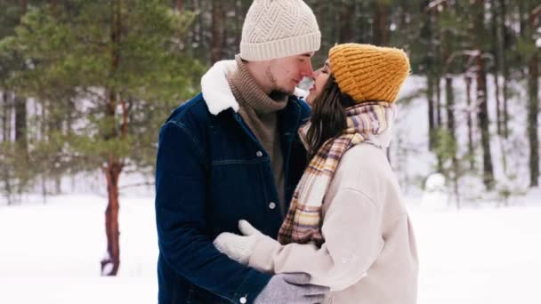 Ευτυχισμένο χαμογελαστό ζευγάρι αγγίζοντας μύτες στο πάρκο το χειμώνα — Αρχείο Βίντεο