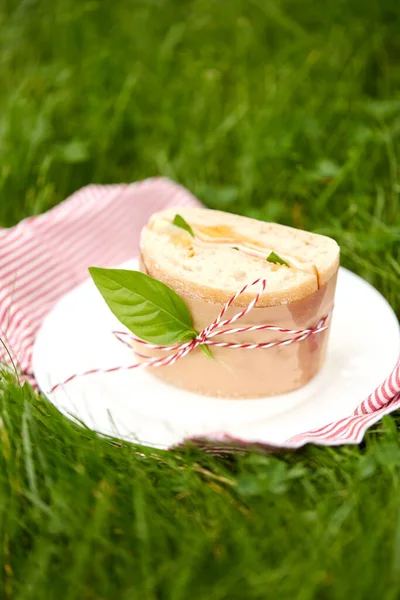 Zbliżenie kanapki na piknik w ogrodzie — Zdjęcie stockowe