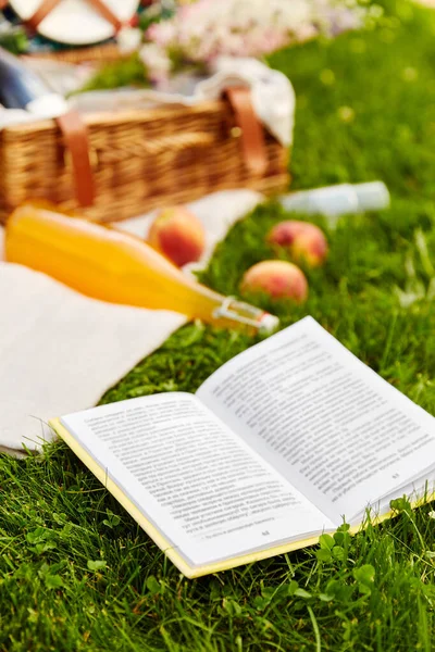 Primo piano del libro aperto sul picnic nel parco estivo — Foto Stock