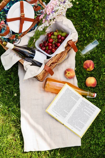 Picknickkorg, mat, dryck och bok på gräs — Stockfoto