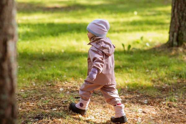 Happy little baby girl walking in autumn park — стоковое фото