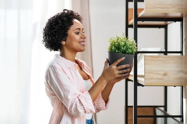 Woman decorating home with flower or houseplant — Stock Photo, Image