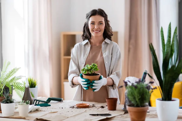 Boldog nő ültetés pot virágok otthon — Stock Fotó
