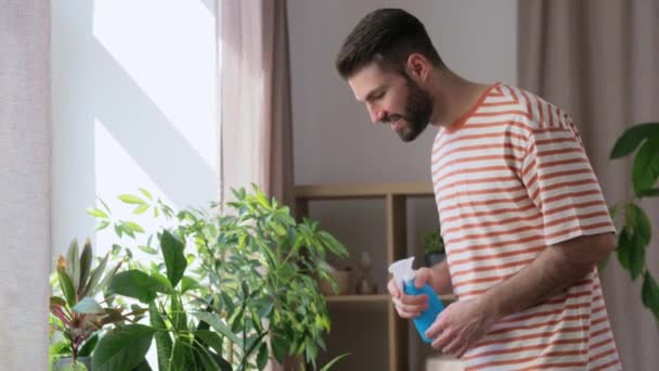 Happy man spraying houseplant with water at home — Wideo stockowe
