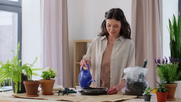 Жінка поливає грунт у вазі для квітів вдома — стокове відео