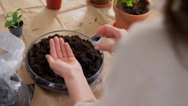 Close up of woman pouring flower seeds to her hand — Stockvideo