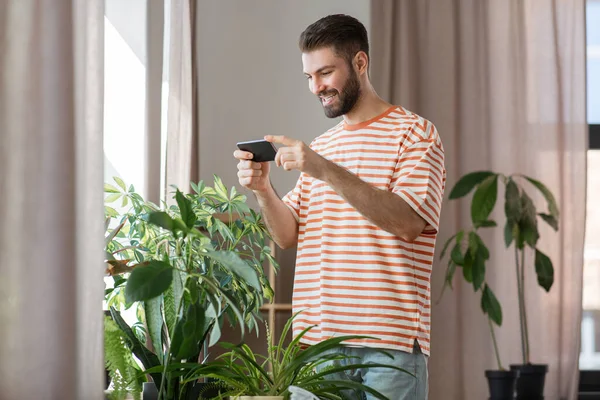 Man with smartphone and flowers at home — Foto de Stock