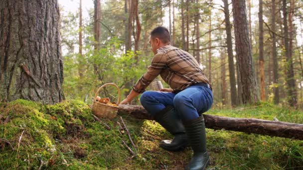 提着一篮蘑菇的男人在森林里喝茶 — 图库视频影像