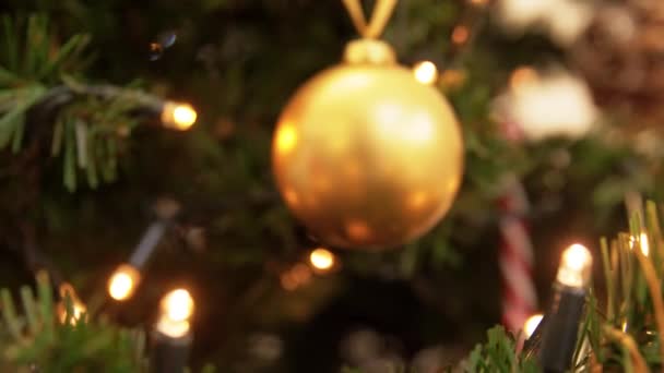 Gouden kerstbal decoratie op dennenboom — Stockvideo