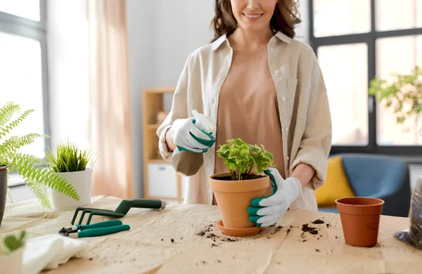 Lycklig kvinna plantera kruka blommor hemma — Stockfoto