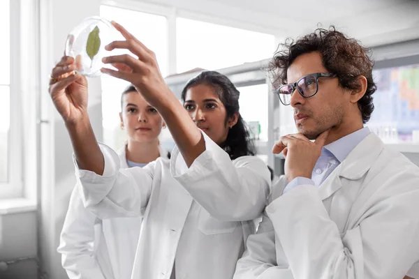 科学研究 基因技术和人的概念 实验室绿叶国际科学家小组 — 图库照片