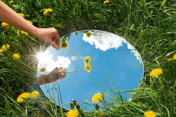大自然的概念 与蒲公英一起在夏田的圆形镜子中触摸天空反射 — 图库照片