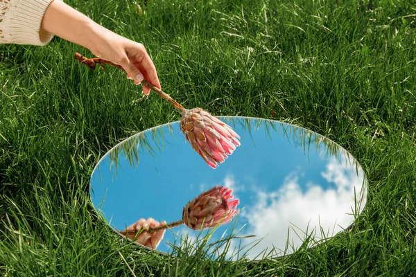 自然概念 夏田圆形反射镜中的朝鲜花与天空反光手 — 图库照片