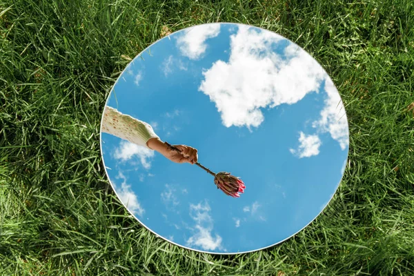 自然コンセプト 夏の畑の丸い鏡にアーティチョークの花と空の反射と手 — ストック写真