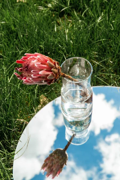 Natuur Concept Artisjok Bloem Vaas Hemel Reflectie Ronde Spiegel Zomerveld — Stockfoto