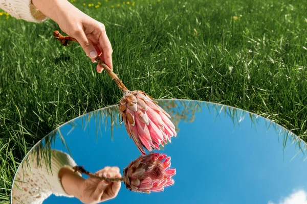 Natuur Concept Hand Met Artisjok Bloem Lucht Reflectie Ronde Spiegel — Stockfoto