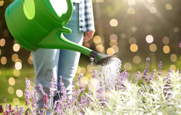 Giardinaggio Concetto Della Gente Giovane Donna Con Annaffiamento Può Versare — Foto Stock