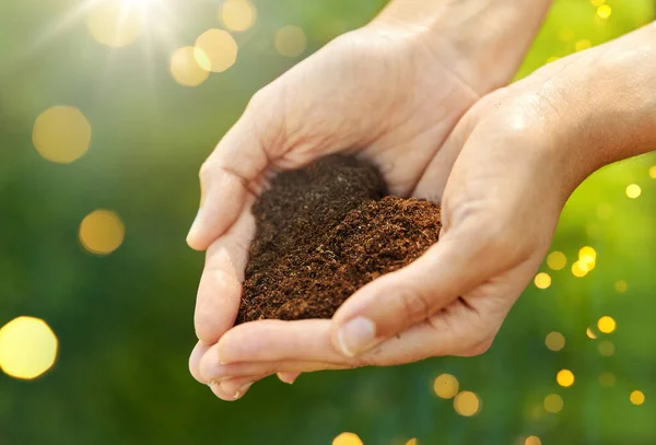 Gardening Environment People Concept Cupped Hands Holding Soil Shape Heart — Stock Photo, Image