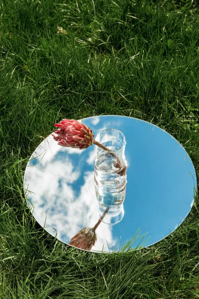 自然概念 夏田圆镜中花瓶中的洋蓟花与天空的反光 — 图库照片