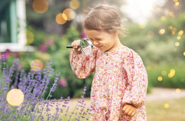 子供時代 レジャーと人々のコンセプト 夏の庭でラベンダーの花を見て拡大と幸せな小さな赤ちゃんの女の子 — ストック写真