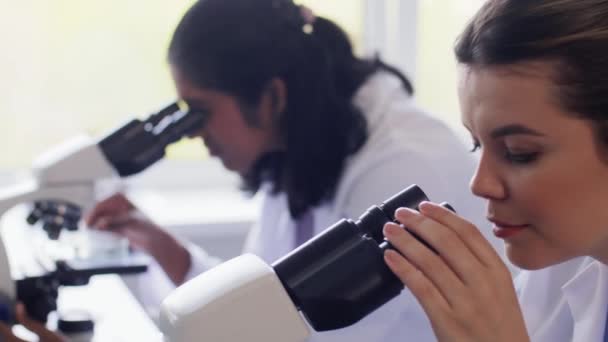 Concept Recherche Scientifique Travail Personnes Femmes Scientifiques Internationales Avec Microscopes — Video