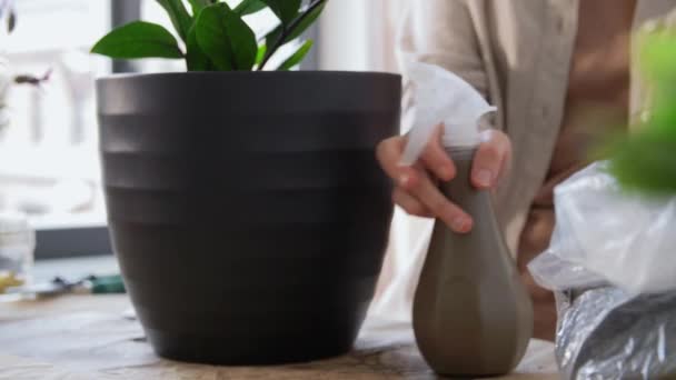 Människor Trädgårdsarbete Och Hushållsarbete Koncept Kvinna Med Spray Sprutning Zamioculcas — Stockvideo