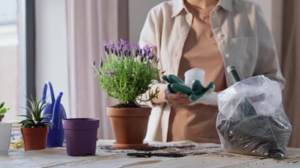 Emberek Kertészkedés Házimunka Koncepció Kesztyű Öntözőkanna Ültetés Pot Virágok Otthon — Stock videók