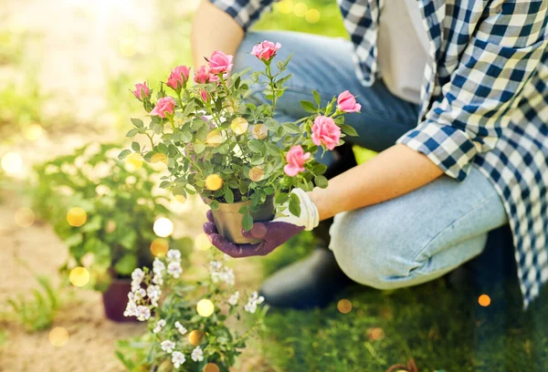 園芸と人々の概念 女性の植え付けは夏の庭で花を咲かせました — ストック写真