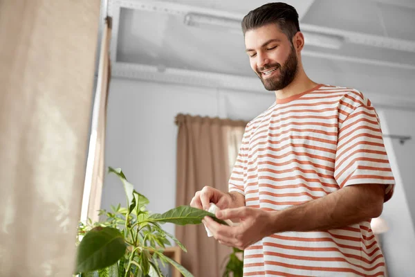 People Housework Care Concept Happy Man Tissue Cleaning Houseplants Leaves — Stock Fotó