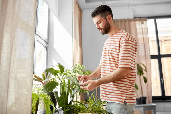 People Housework Care Concept Happy Man Tissue Cleaning Houseplants Leaves — Foto Stock