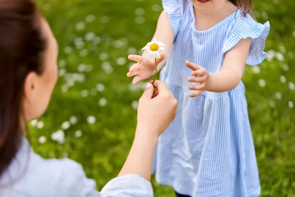 family, motherhood and people concept - close up of mother and little daughter with chamomile flower at summer park or garden