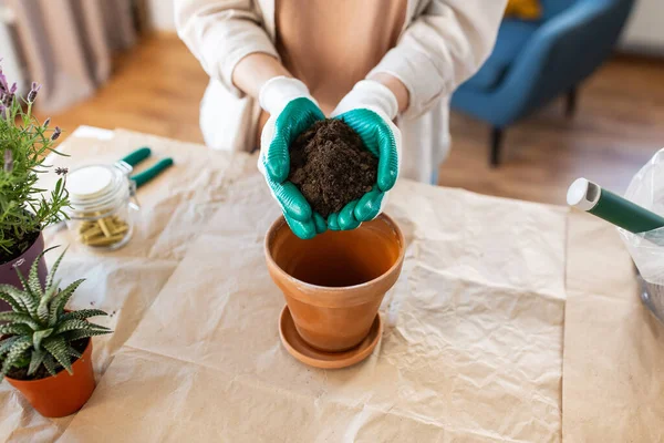 People Gardening Housework Concept Close Woman Gloves Pouring Soil Flower — Foto de Stock