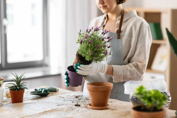 People Gardening Housework Concept Close Woman Gloves Planting Pot Flowers — Foto de Stock