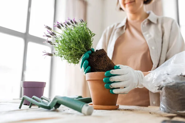 People Gardening Housework Concept Close Woman Gloves Planting Pot Flowers — Stockfoto