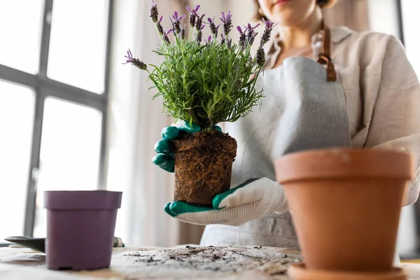 People Gardening Housework Concept Close Woman Gloves Planting Pot Flowers — 图库照片