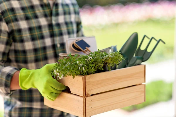 Gardening People Concept Close Man Holding Wooden Box Tools Summer — Stockfoto