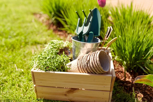 Gardening Farming Planting Concept Close Wooden Box Garden Tools Flower — 스톡 사진