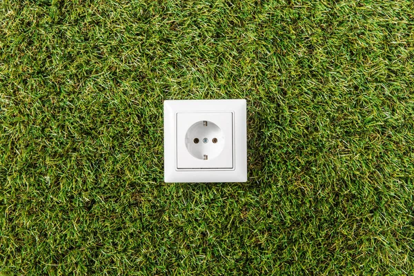 Electricity Energy Power Consumption Concept Close Socket Green Grass Background — ストック写真