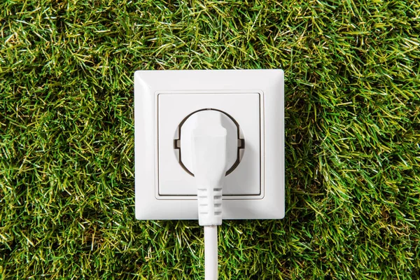 Electricity Energy Power Consumption Concept Close Socket Plug Green Grass — Stock Photo, Image