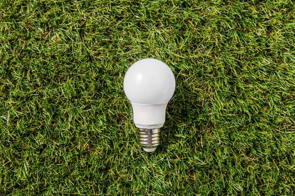 Electricity Energy Power Consumption Concept Close Lightbulb Green Grass Background — Photo