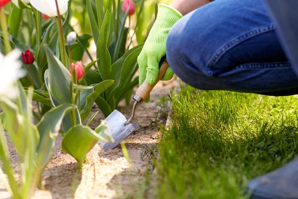 Gardening People Concept Close Man Pruner Taking Care Flowers Summer — Stockfoto