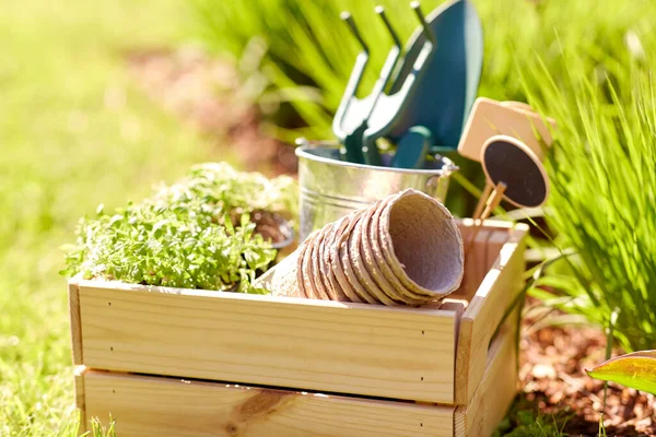 Κηπουρική Καλλιέργεια Και Φύτευση Κλείσιμο Ξύλινων Κουτιών Εργαλεία Κήπου Γλάστρες — Φωτογραφία Αρχείου