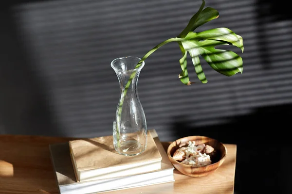 Interior Home Decor Concept Monstera Leaf Glass Vase Books Seashells — ストック写真