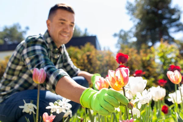 Gardening People Concept Close Man Taking Care Flowers Summer Garden — Stockfoto