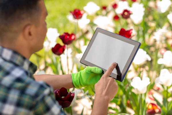 Gardening People Concept Close Man Tablet Computer Flowers Summer Garden — Zdjęcie stockowe