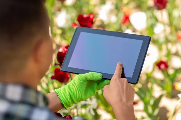 Gardening People Concept Close Man Tablet Computer Flowers Summer Garden — Stockfoto
