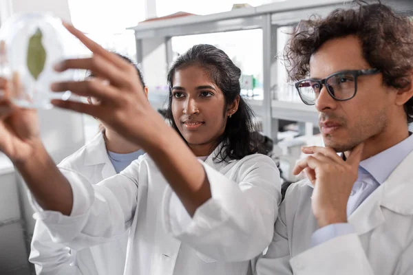 Tudományos Kutatás Géntechnológia Emberek Koncepciója Tudósok Nemzetközi Csoportja Zöld Levéllel — Stock Fotó