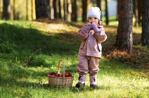 Childhood Leisure Picking Season Concept Little Baby Girl Basket Eating — ストック写真